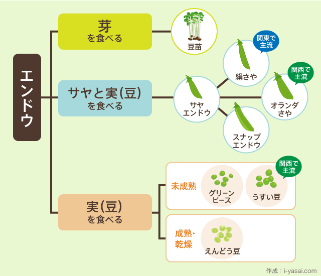 エンドウの種類と違い