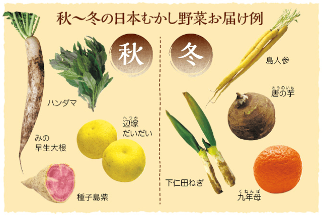 日本むかし野菜